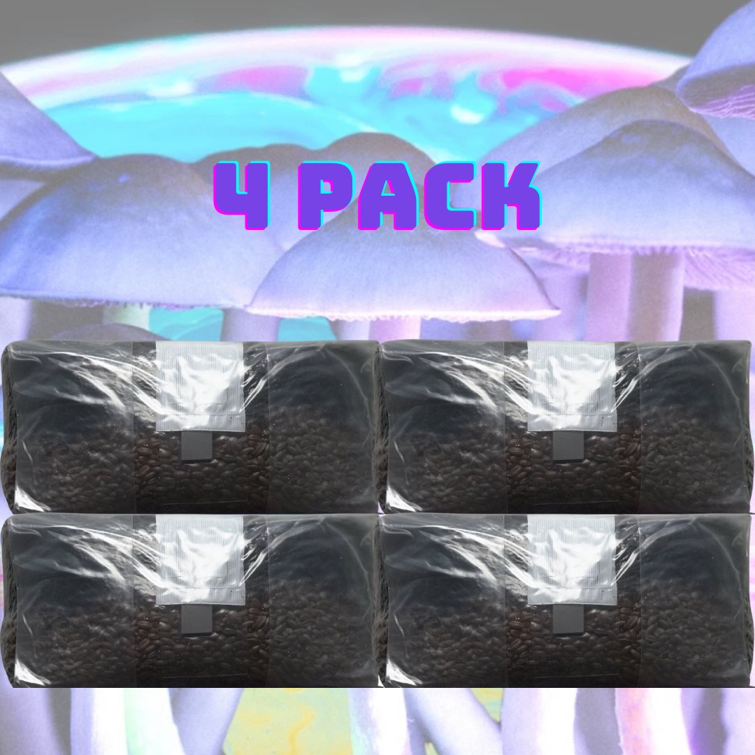Unleash the Fungi: 6lb All In One Mushroom Grow Bag