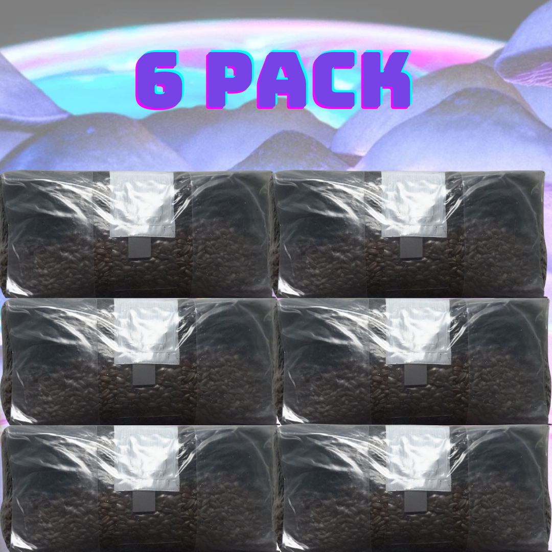 Unleash the Fungi: 6lb All In One Mushroom Grow Bag