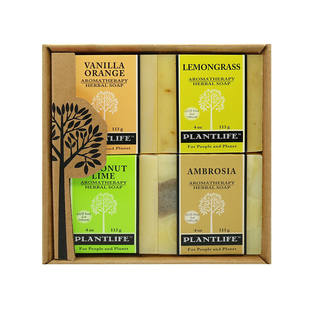 Plantlife: Fruity 4-pack Soap Collection