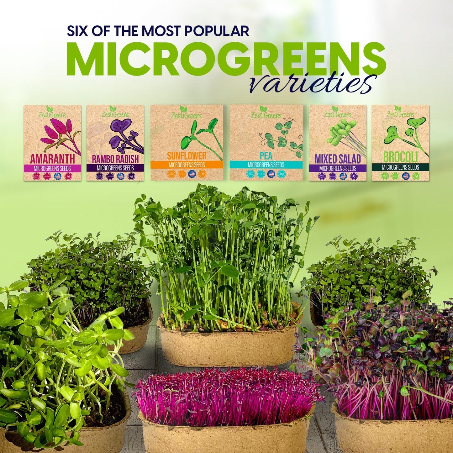 ZestiGreens Microgreen Grow Kit