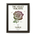 Taurus The Velvet Vigilante Rose Framed Matte Canvas