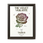 Taurus The Velvet Vigilante Rose Framed Matte Canvas