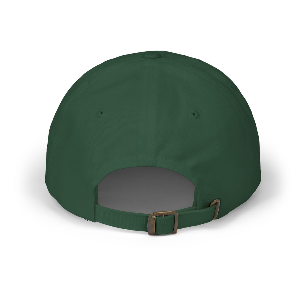 Homestead University Vintage Collegiate Classic Dad Cap –  Embroidered