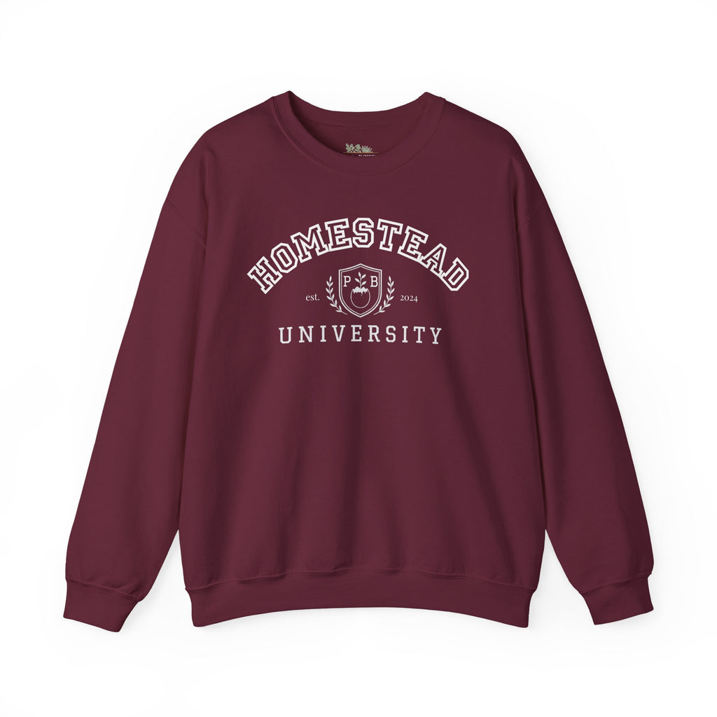 Homestead University Vintage Collegiate Campus Crewneck Sweatshirt