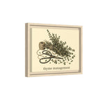 Thyme Management Kitchen Herb Framed Canvas Wall Art