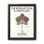 Aquarius The Intellectual Iconoclast Orchid Framed Matte Canvas