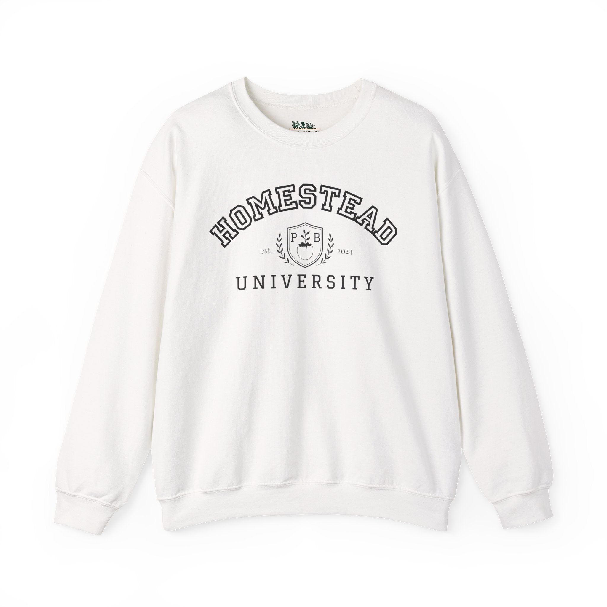 Homestead University Vintage Collegiate Campus Crewneck Sweatshirt