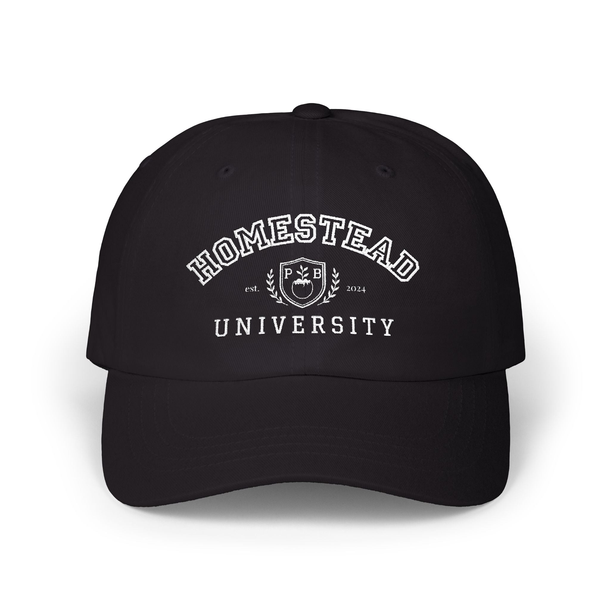Homestead University Vintage Collegiate Classic Dad Cap –  Embroidered