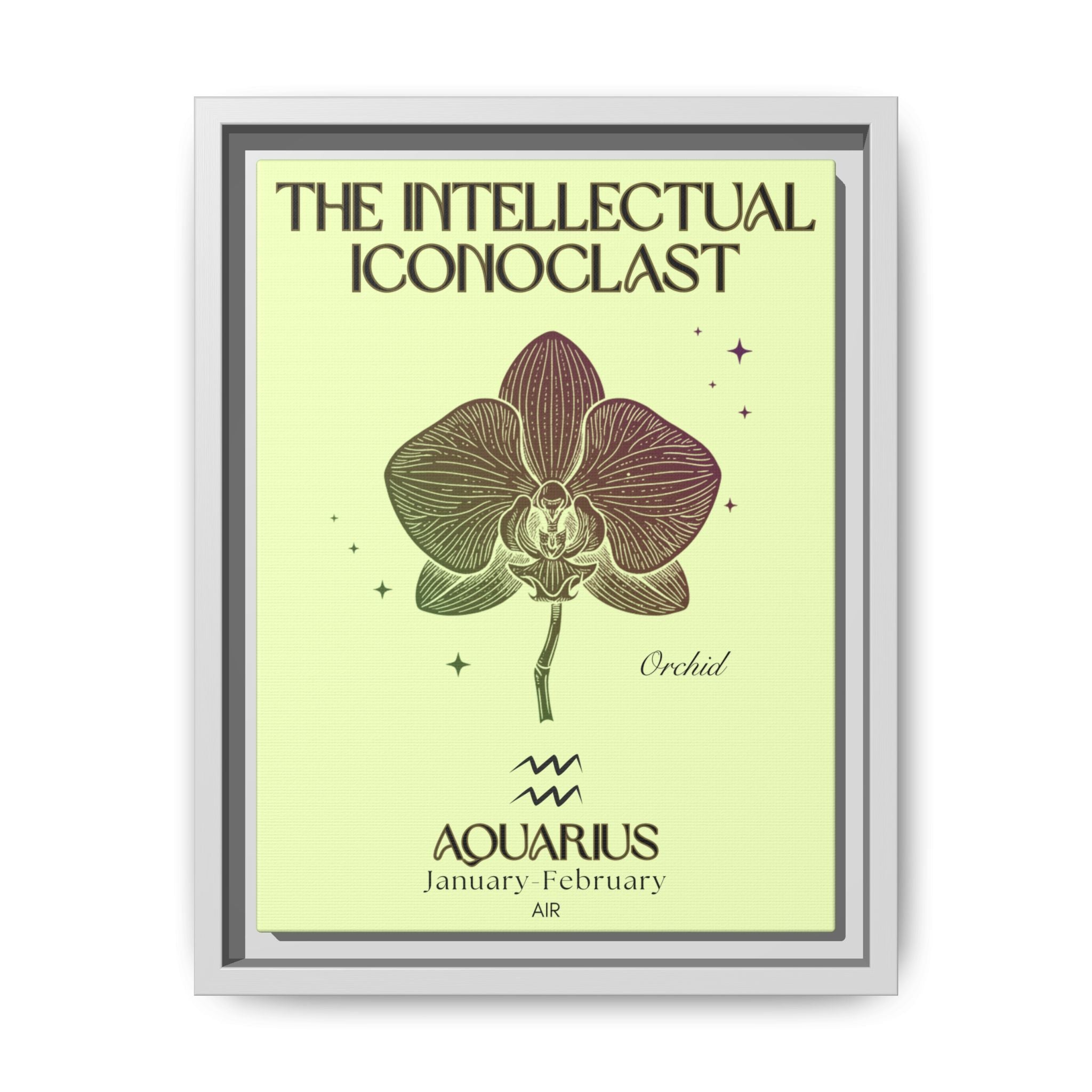 Aquarius The Intellectual Iconoclast Orchid Matte Canvas, Framed