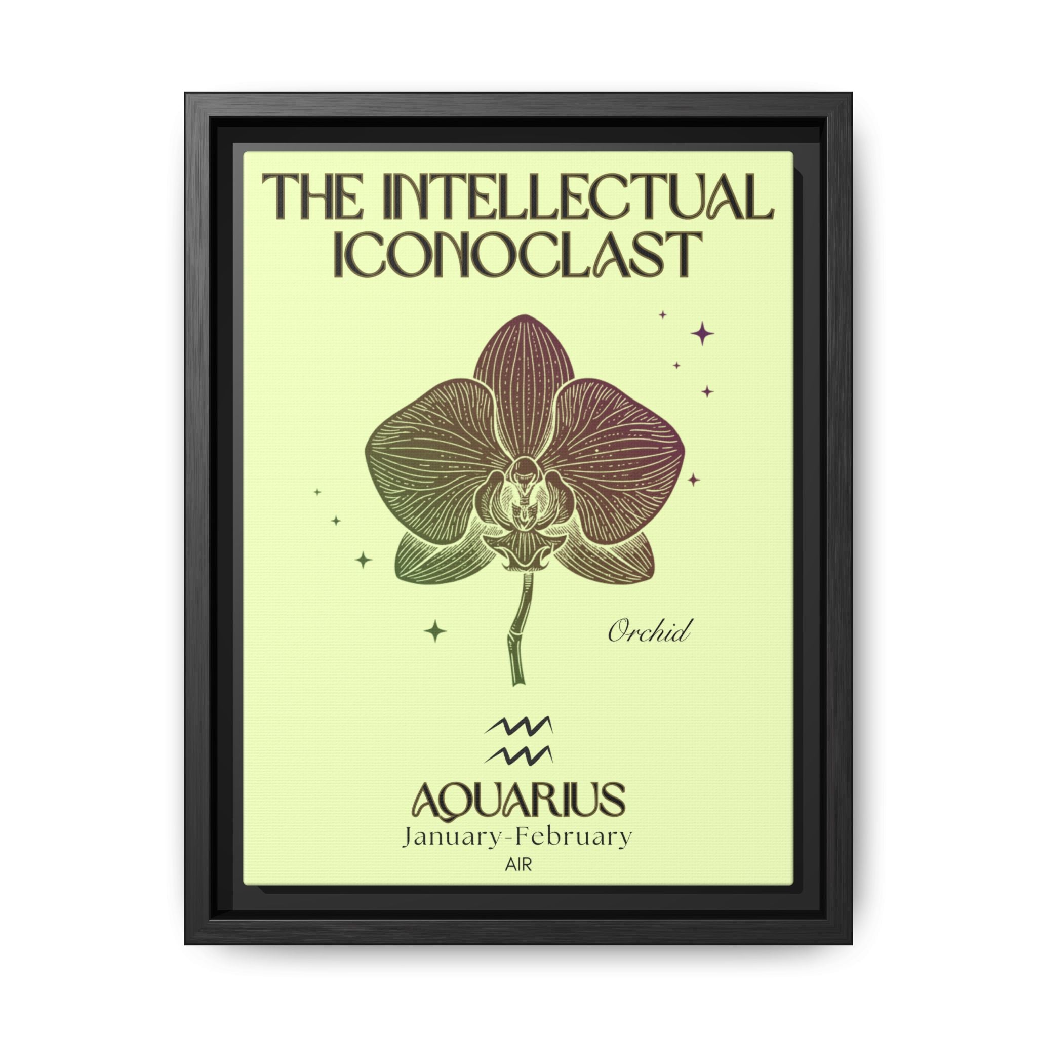 Aquarius The Intellectual Iconoclast Orchid Matte Canvas, Framed