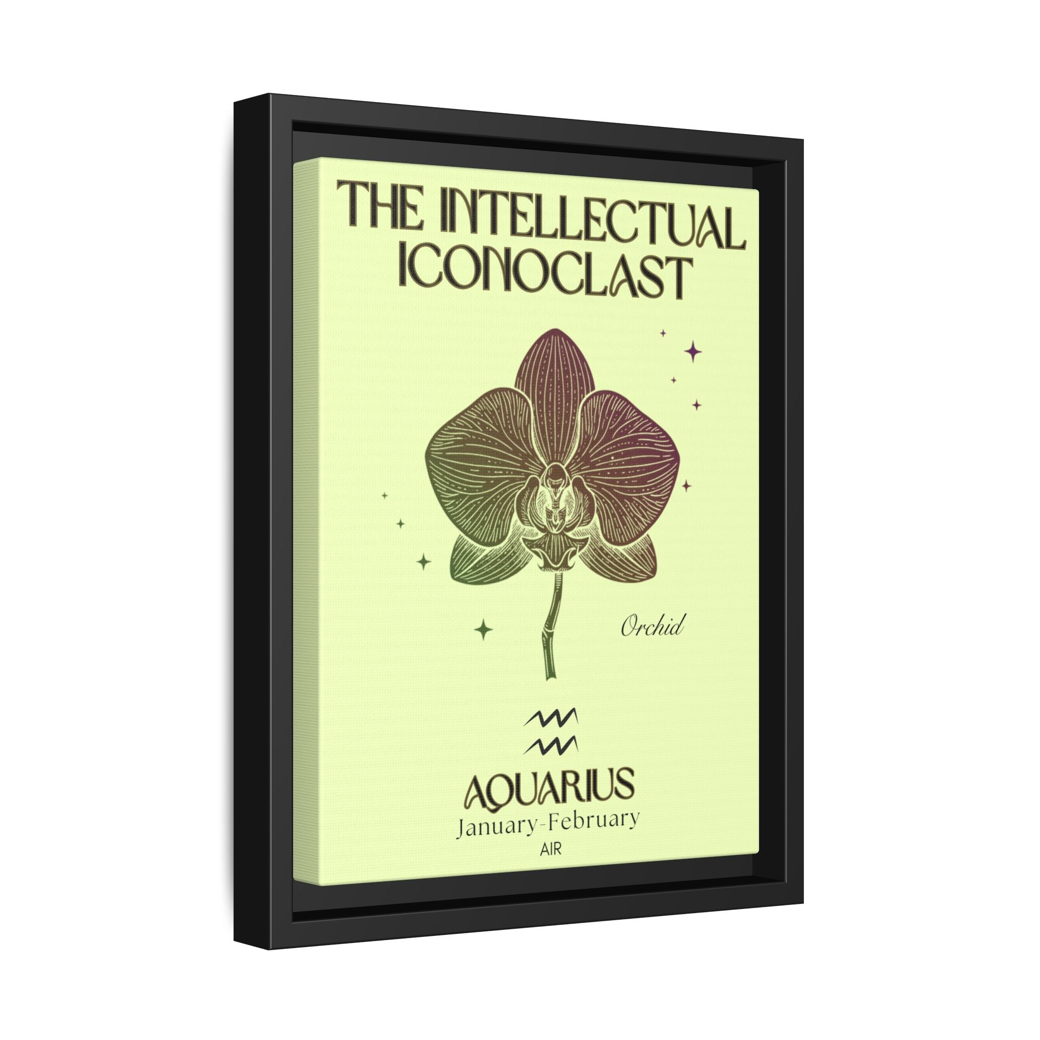 Aquarius The Intellectual Iconoclast Orchid Matte Canvas, Framed