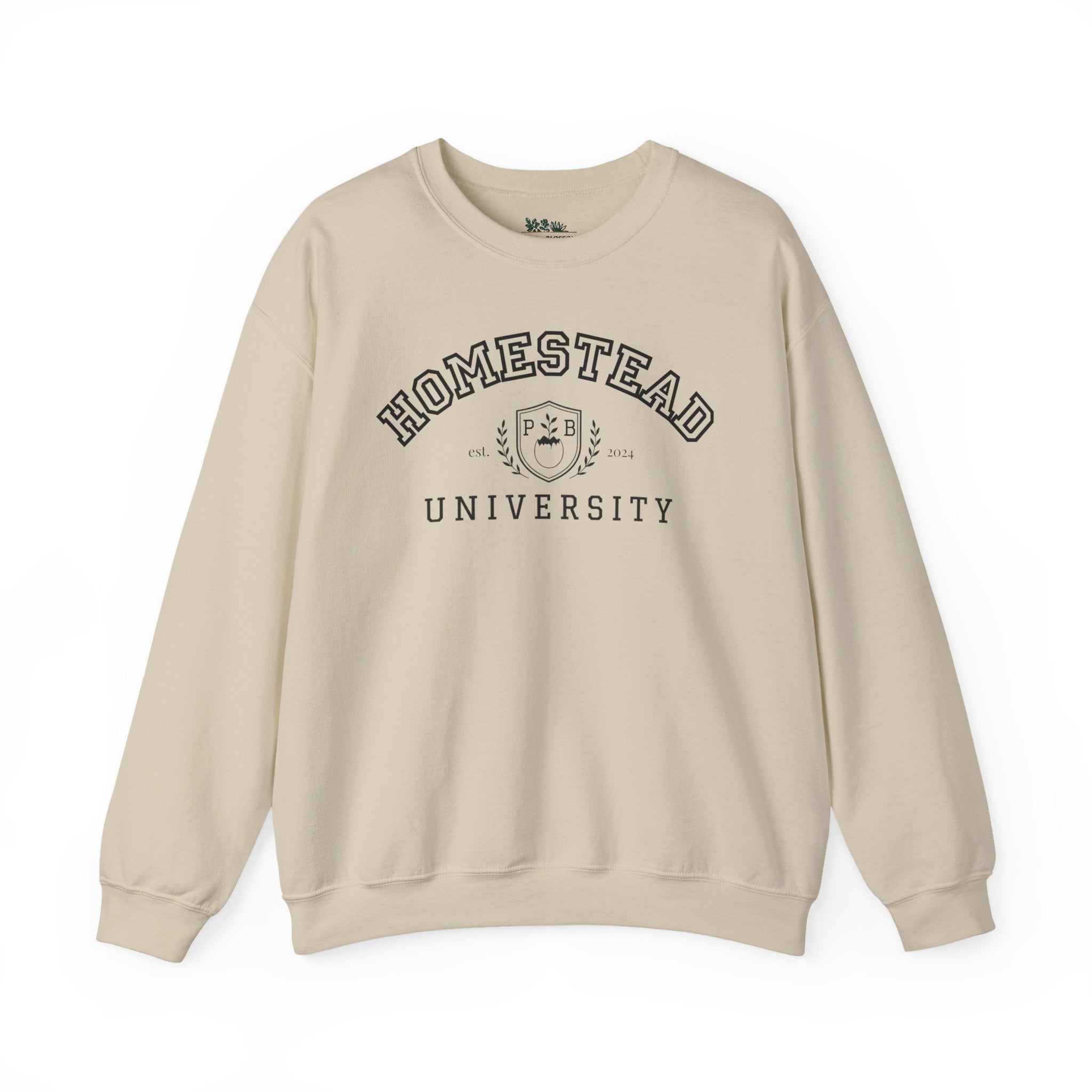 Homestead University Vintage Collegiate Campus Crewneck Sweatshirt