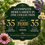 35 Herb Seeds for Planting | Medicinal & Culinary Variety Pack