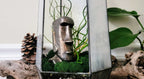 Moai Watering Spike