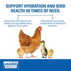 Sav-A-Chick Poultry Vitamins & Electrolytes 20 Pack Bird Supplement