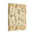 Field Guide Vintage Botanical Wall Art Canvas