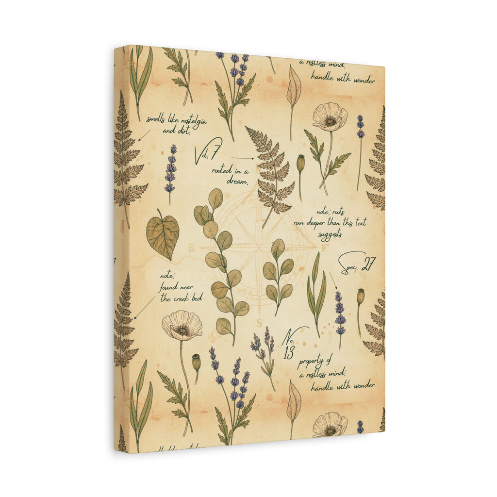 Field Guide Vintage Botanical Wall Art Canvas
