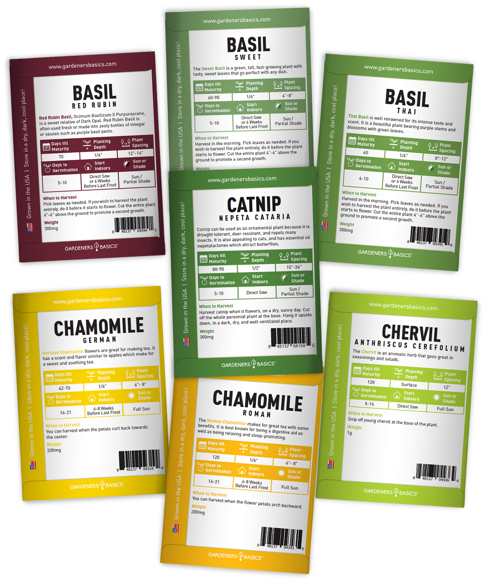 35 Herb Seeds for Planting | Medicinal & Culinary Variety Pack
