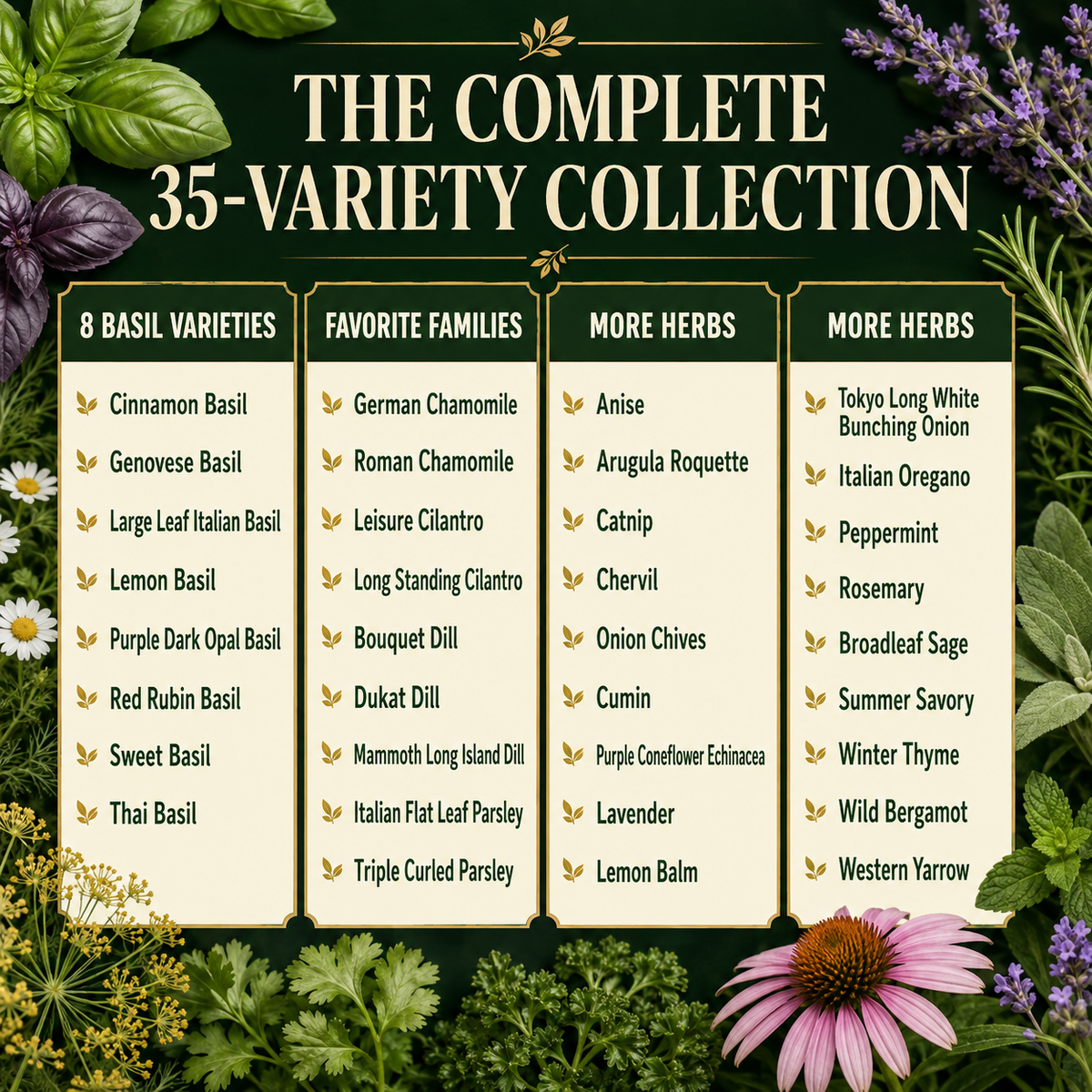 35 Herb Seeds for Planting | Medicinal & Culinary Variety Pack