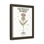 Aries The Prickly Pioneer Thistle Framed Matte Canvas