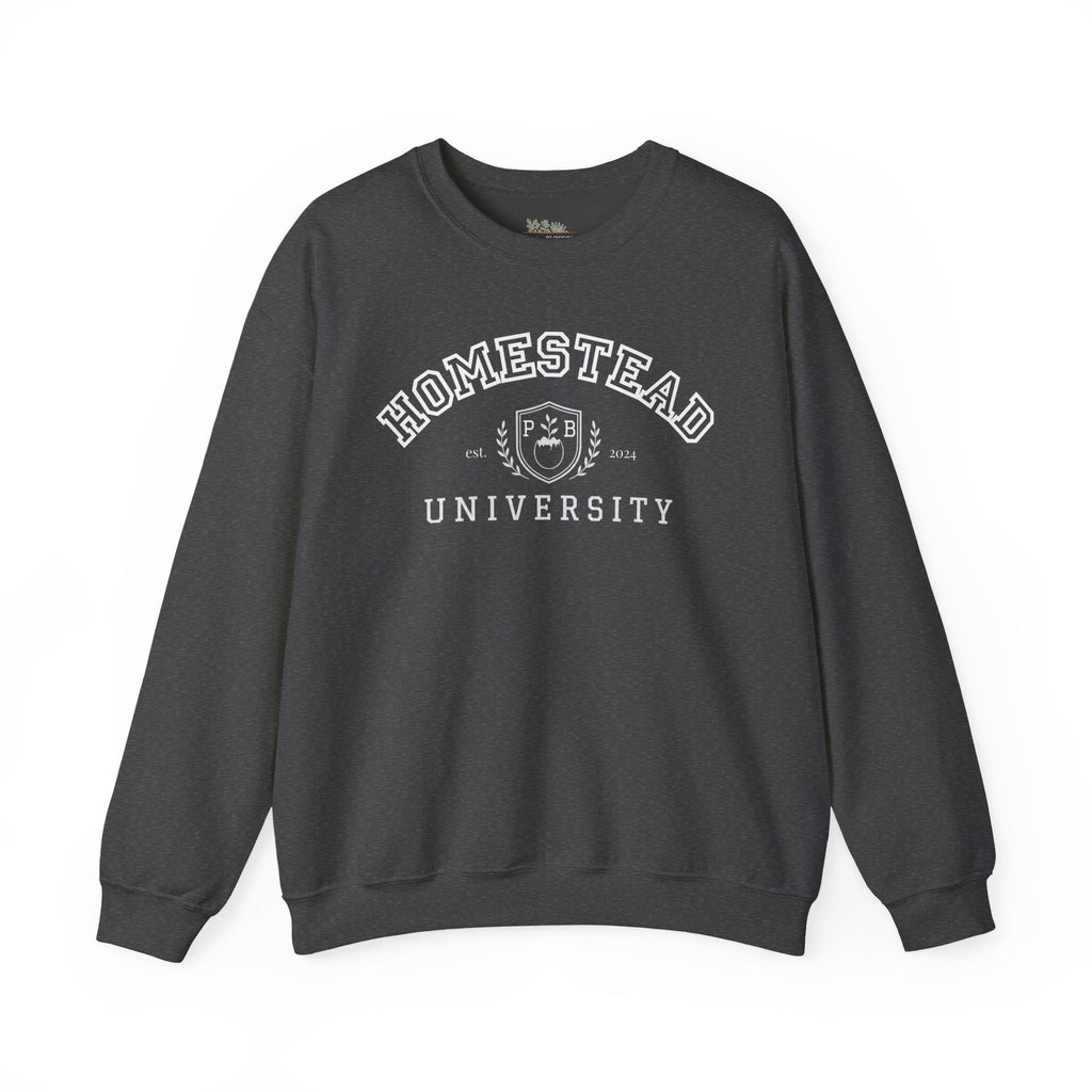 Homestead University Vintage Collegiate Campus Crewneck Sweatshirt