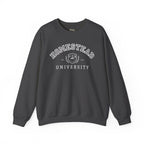 Homestead University Vintage Collegiate Campus Crewneck Sweatshirt