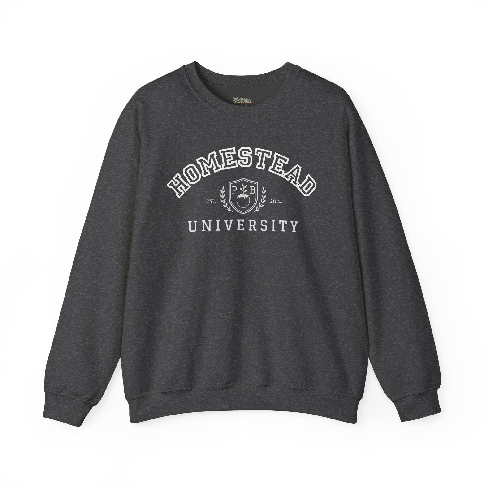 Homestead University Vintage Collegiate Campus Crewneck Sweatshirt