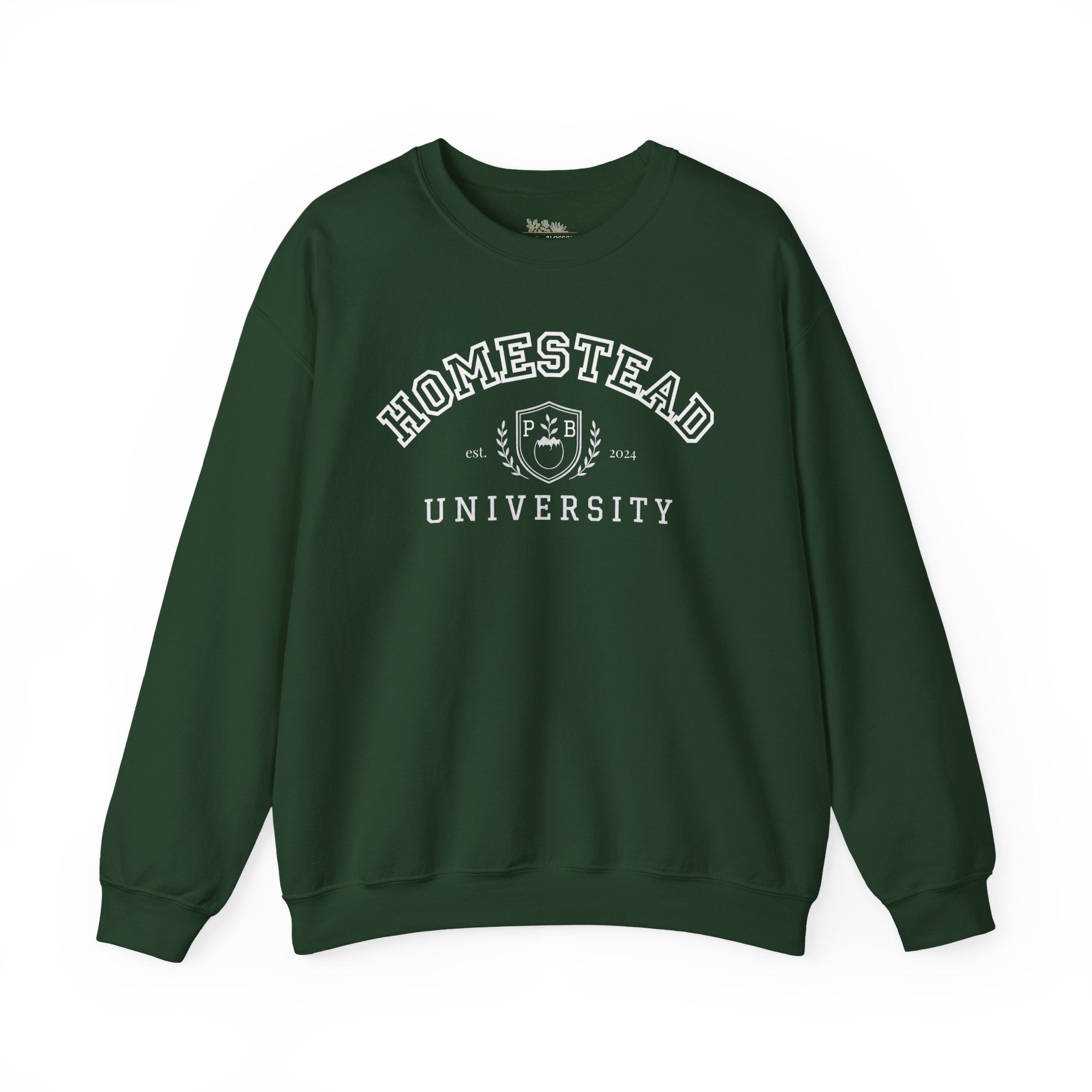 Homestead University Vintage Collegiate Campus Crewneck Sweatshirt