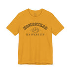 Homestead University Vintage Crest Tee