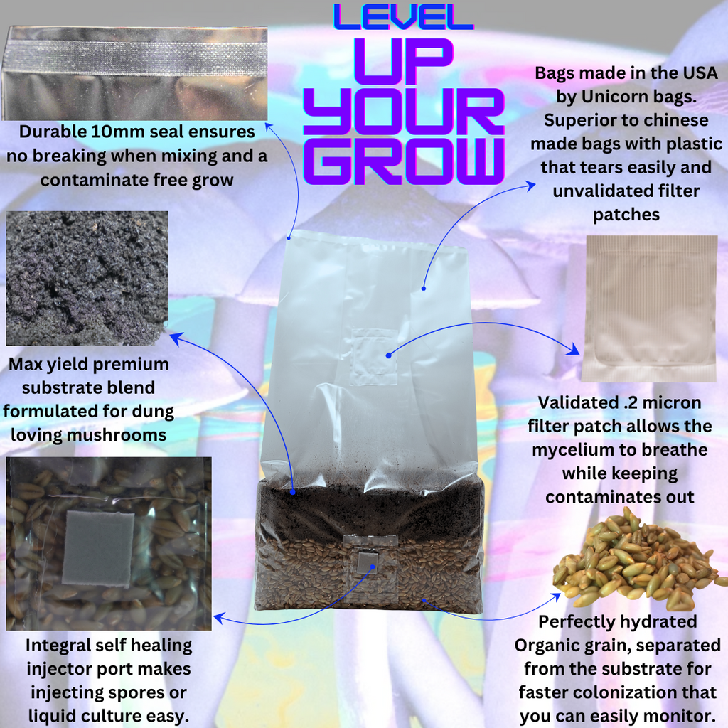 Unleash the Fungi: 6lb All In One Mushroom Grow Bag