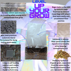 Unleash the Fungi: 6lb All In One Mushroom Grow Bag