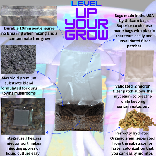 Unleash the Fungi: 6lb All In One Mushroom Grow Bag