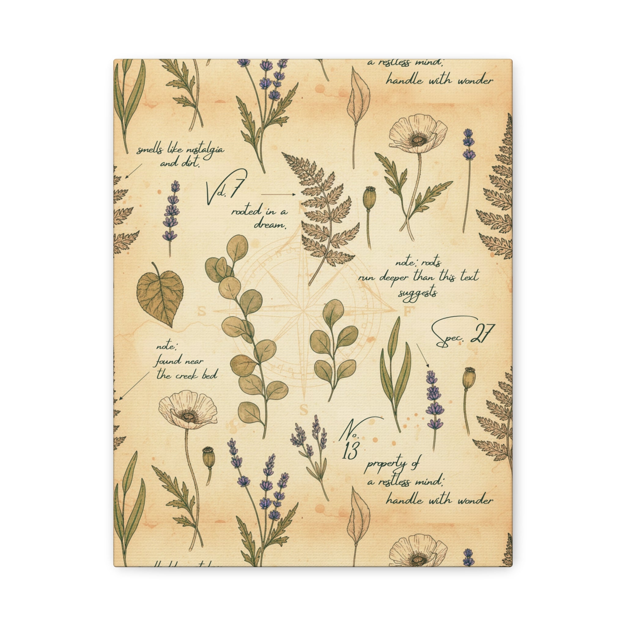 Field Guide Vintage Botanical Wall Art Canvas