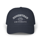 Homestead University Vintage Collegiate Classic Dad Cap –  Embroidered