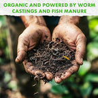 Fishnure Organic Fish Manure & Worm Casting Fertilizer (8 lb)