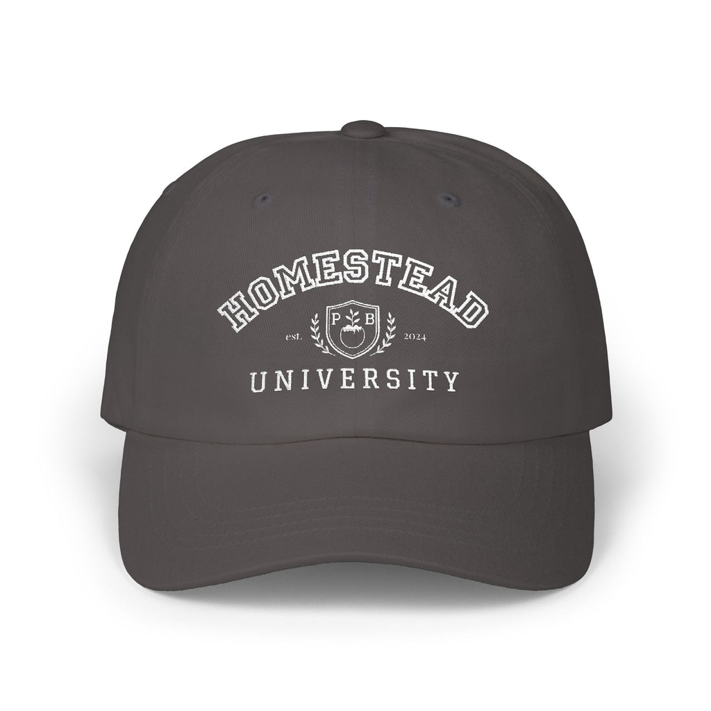 Homestead University Vintage Collegiate Classic Dad Cap –  Embroidered
