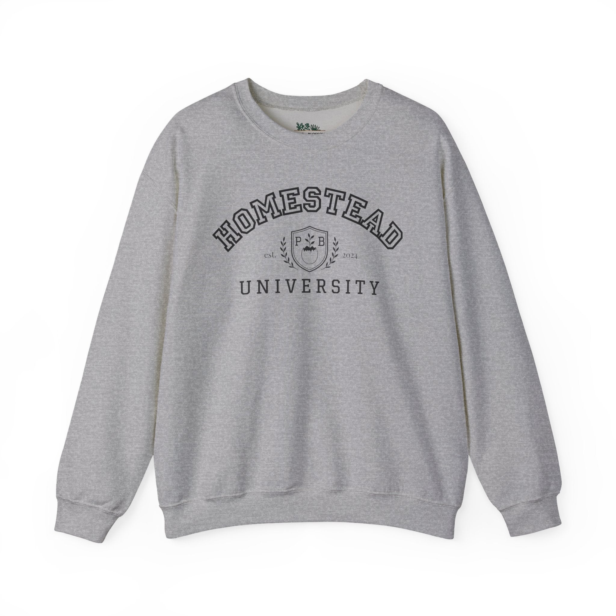 Homestead University Vintage Collegiate Campus Crewneck Sweatshirt