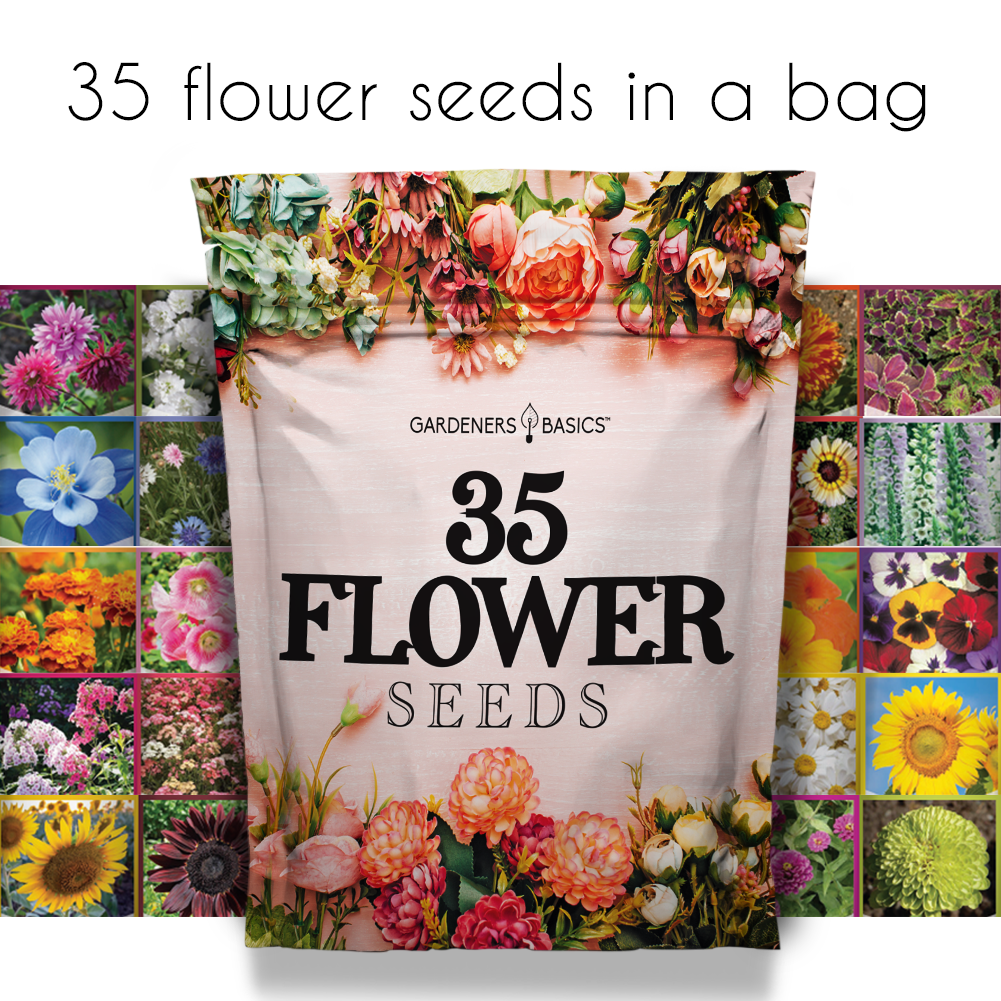Flower Seeds for Planting | 35 Annual & Perennial Varieties