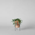 Wrought Iron Planter Stand