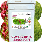 Crimson Clover + Mow Less Grass Seed