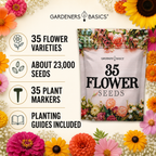 Flower Seeds for Planting | 35 Annual & Perennial Varieties