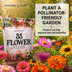 Flower Seeds for Planting | 35 Annual & Perennial Varieties