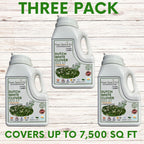 Dutch White Clover Easy Spread Shaker