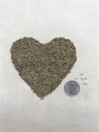 EcoSeed - The No Maintenance Lawn, Fine Fescue Lawn Mix, Eco-Friendly Grass