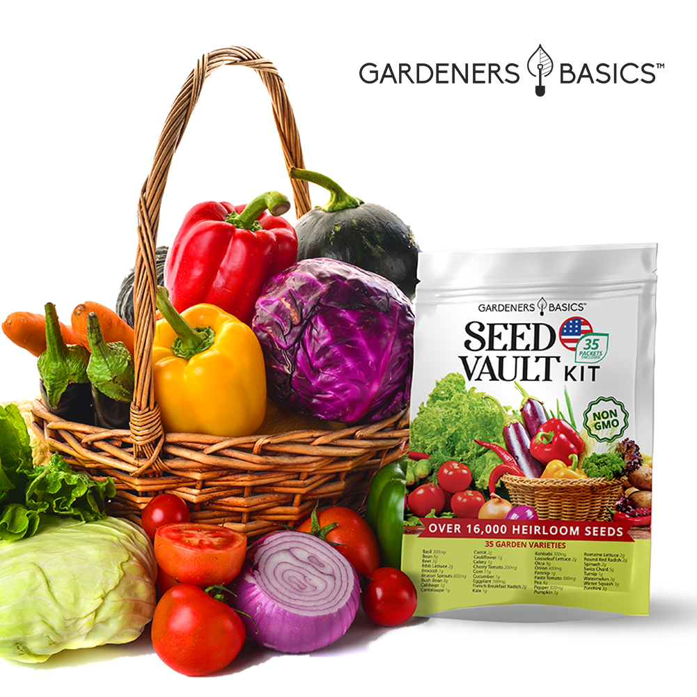 Survival Seed Vault Kit - 35 Heirloom Non-GMO Vegetable Seeds for Planting
