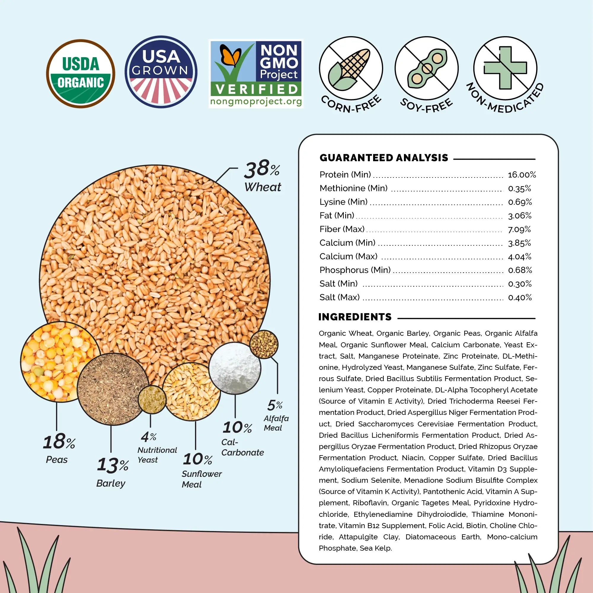 Layer Organic Chicken Feed