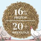 Layer Organic Chicken Feed