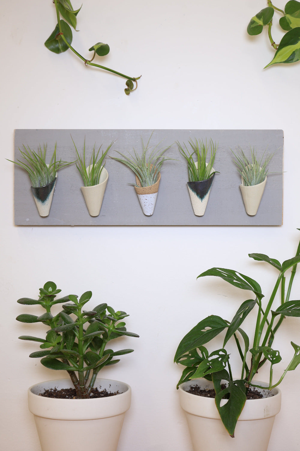 Carter + Rose, Horizontal Wall Planter