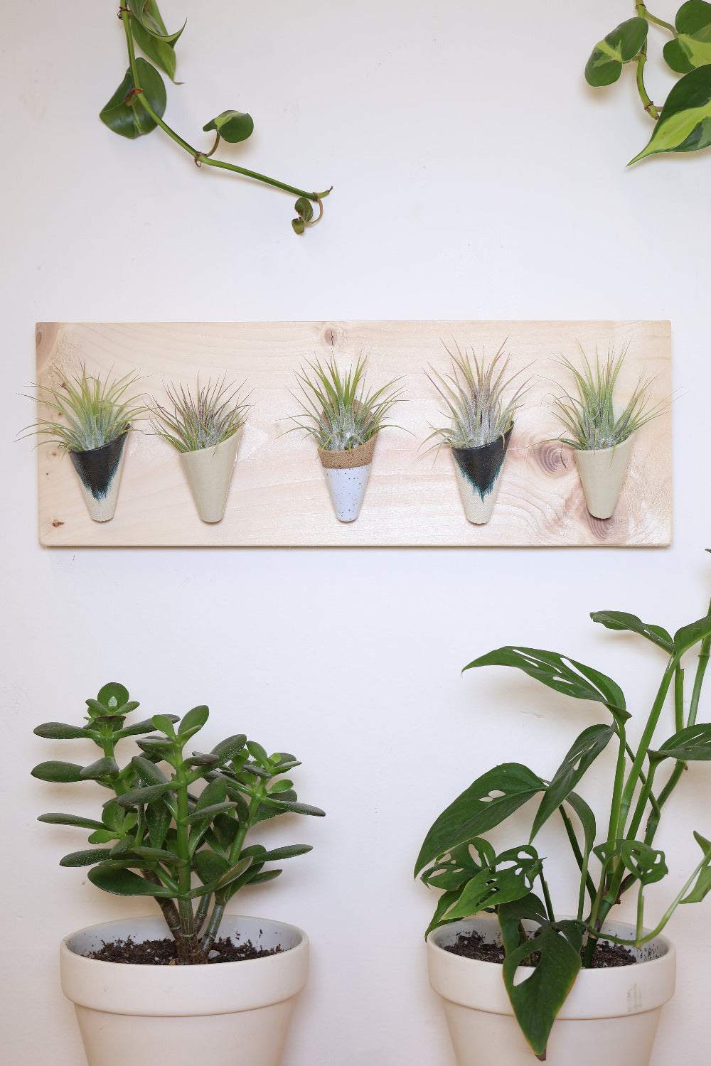 Carter + Rose, Horizontal Wall Planter