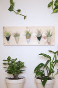 Carter + Rose, Horizontal Wall Planter